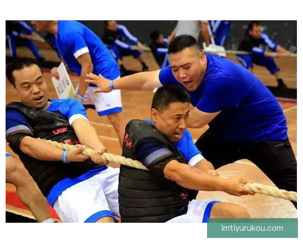 IM体育下载安装指南全新体验助你畅享专业赛事分析与投注服务