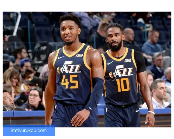 IM体育最新官方网站地址查询及访问方法分享 IM体育最新官方网站地址查询及访问方法分享